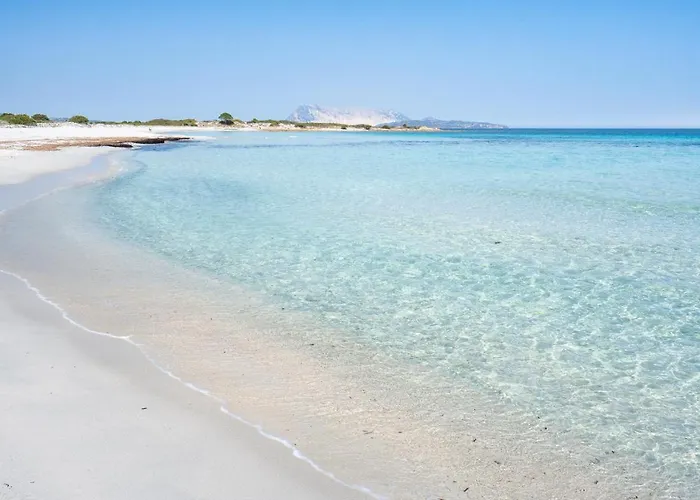 Ferienhaus Casa Del Capitano