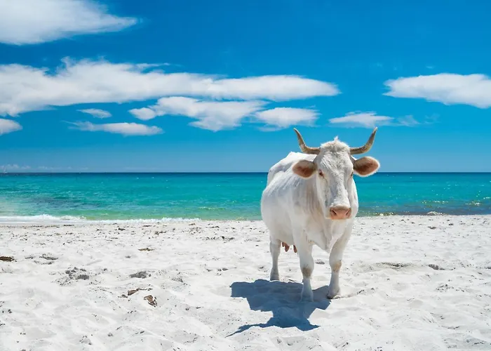 Ferienhaus Casa Del Capitano